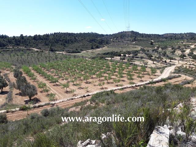 Terreno en Venta en Maella