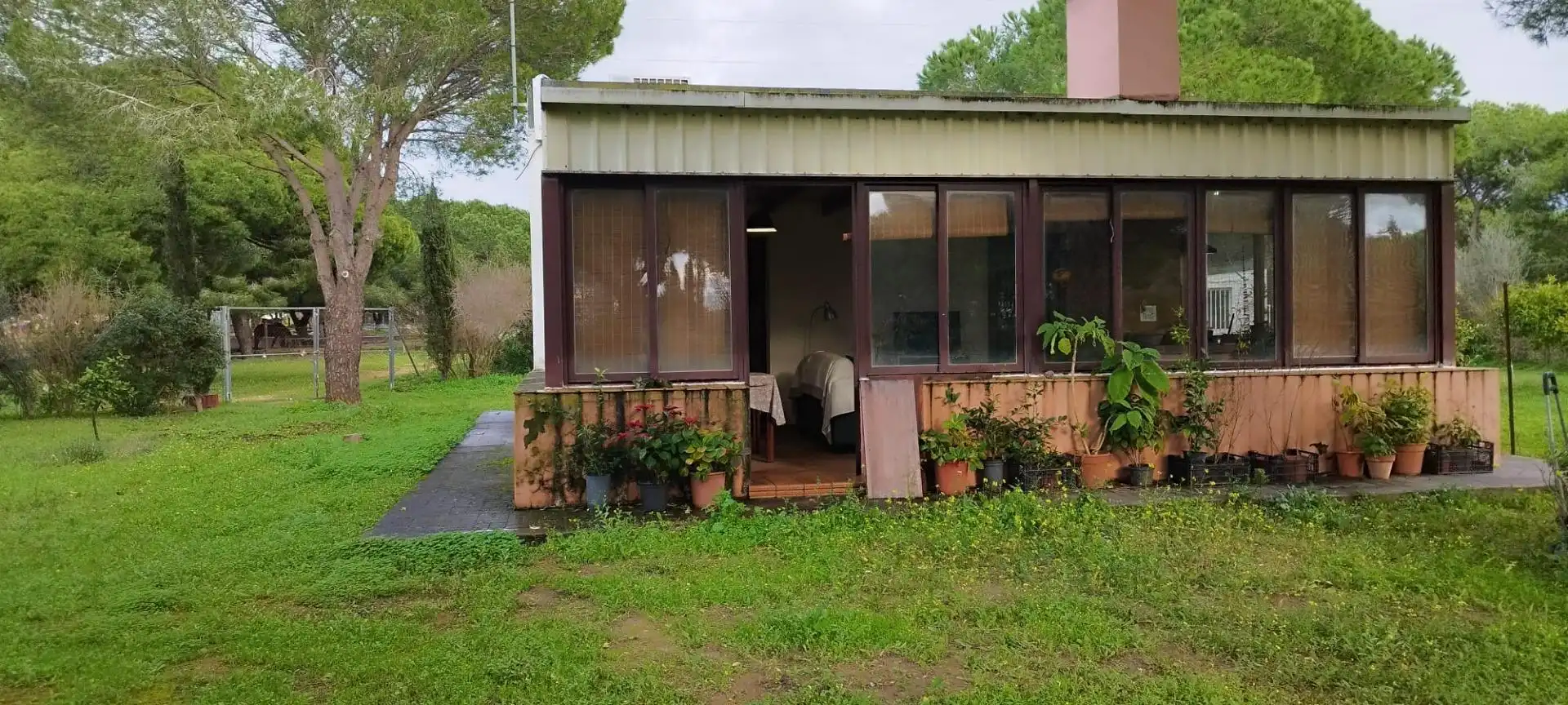 Jardín de Casa o chalet en venta en Puerto Real