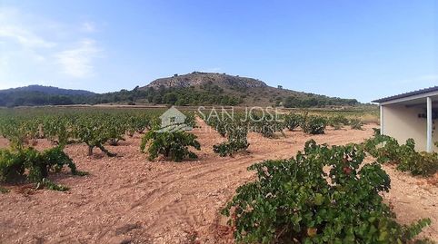 SE VENDE PARCELA EN PRODUCCION DE VIÑA MONASTRELL CON CASA, ALGUEÑA, ABANILLA, CASA VITIA