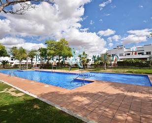 Swimming pool of Flat for sale in Alhama de Murcia  with Air Conditioner and Terrace