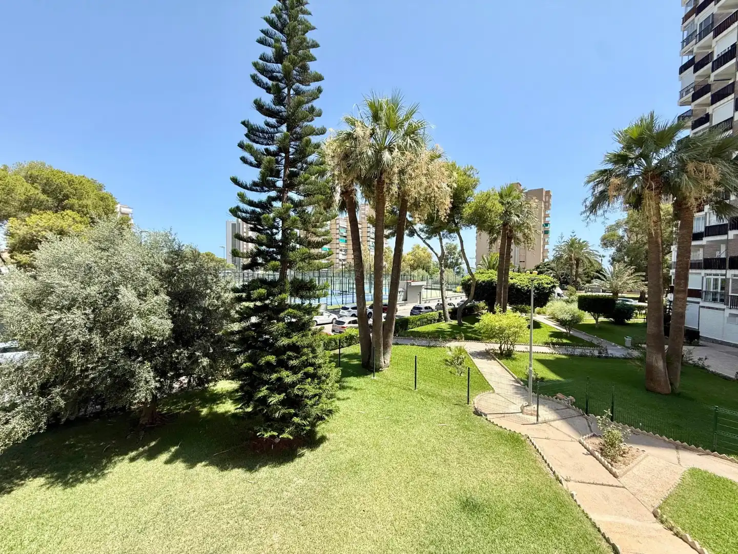 Jardín de Estudio de alquiler en Orihuela con Aire acondicionado, Calefacción y Amueblado