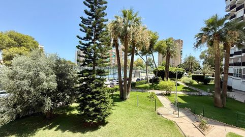 Foto 2 de Estudio de alquiler en Lomas de Cabo Roig - Los Dolses, Orihuela