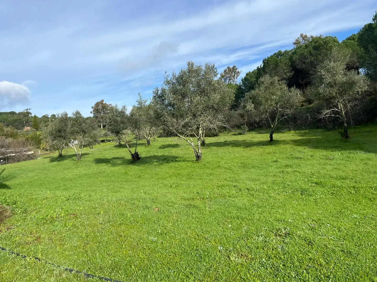 Chalet con jardín en venta en Diseminado Caballon 20, imagen 30