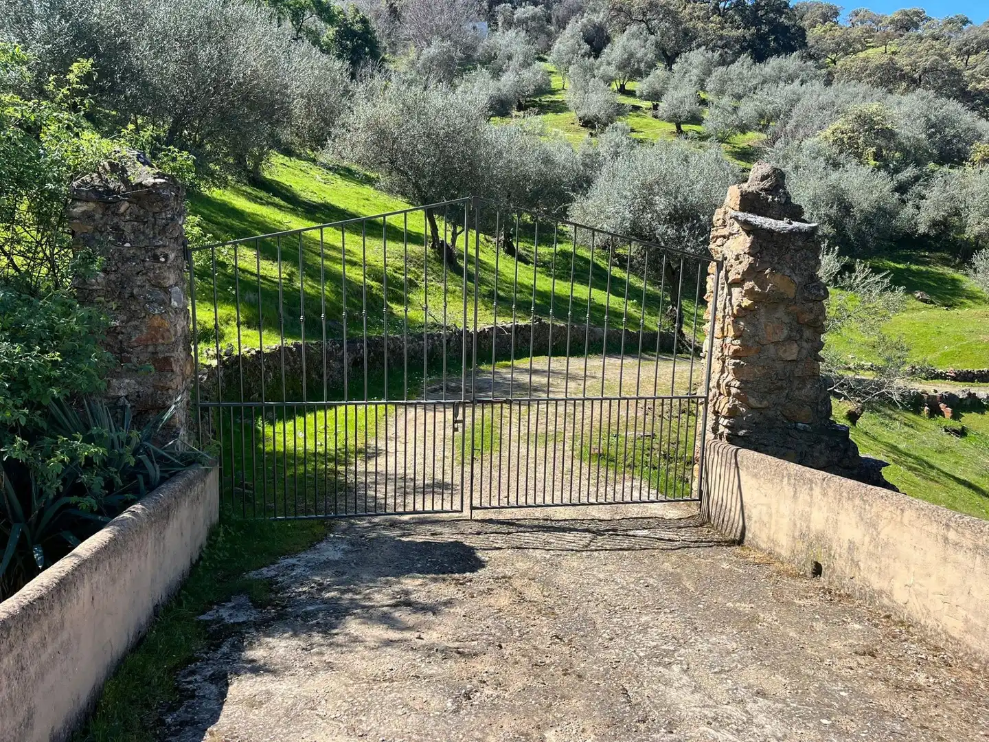 Terreni e lotti in vendita a Zufre, imagen 42