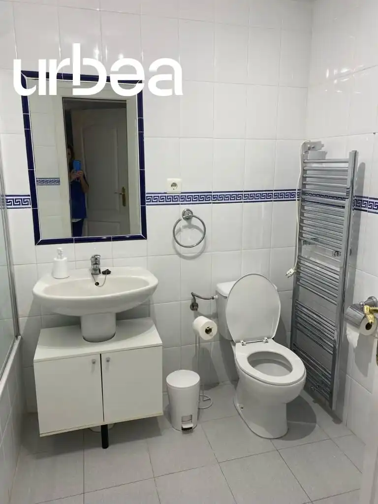 Piso con piscina en venta en Avenida INGENIEROS DE RIVIERA, imagen 15