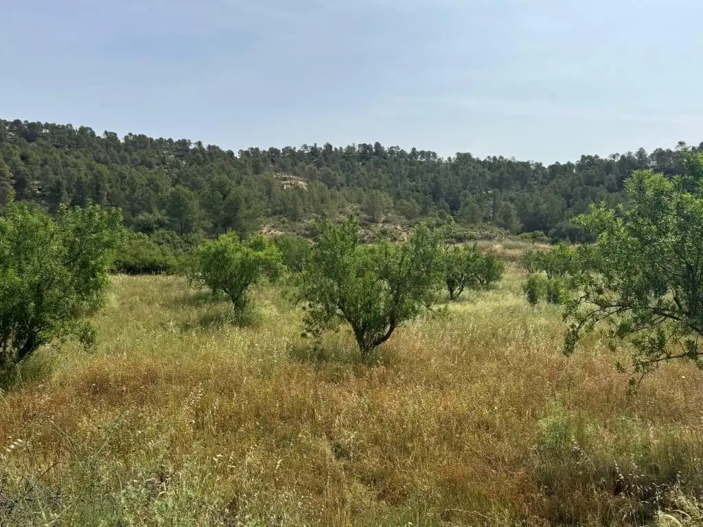 Terreni e lotti in vendita a Mazaleón, imagen 26