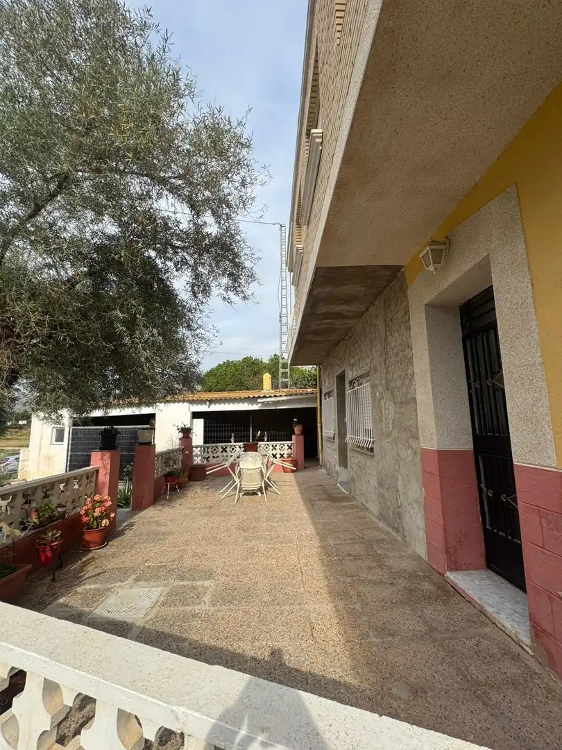 Vista exterior de Finca rústica en venda en Orihuela amb Jardí privat i Terrassa