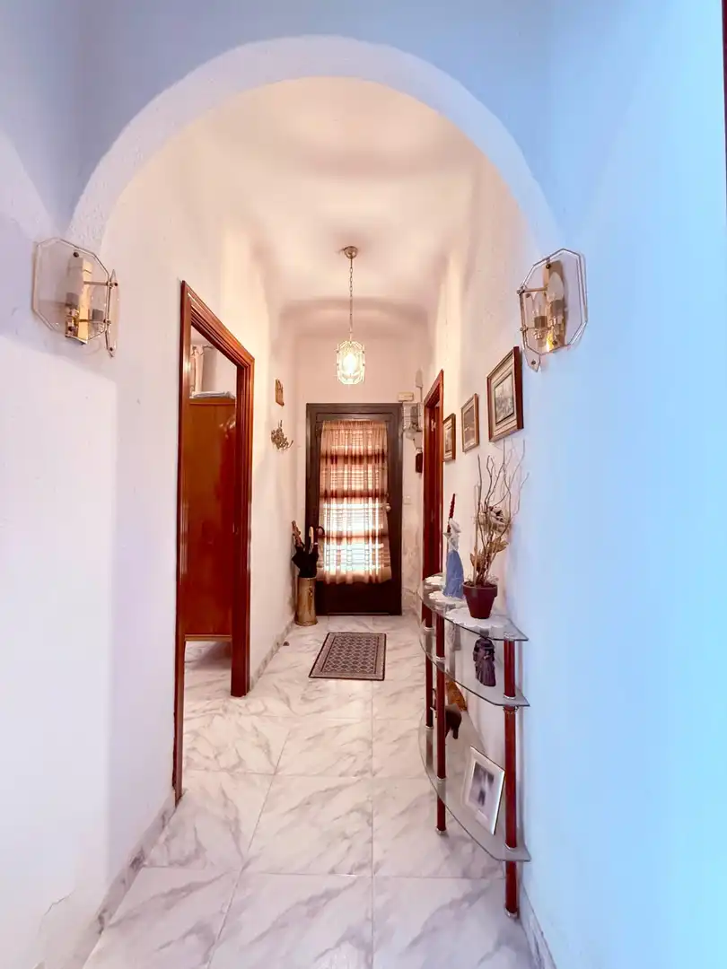 Detached homes for sale in Centro