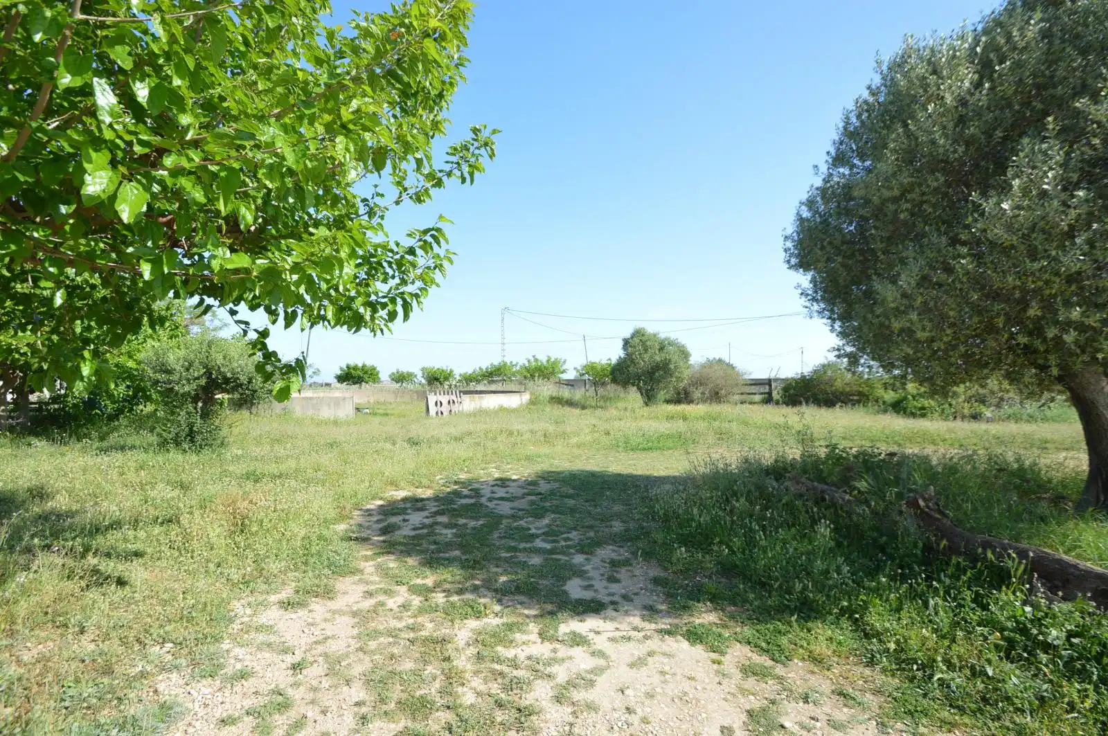 Terreno rustico in vendita a Partidas de interior - Zona Rústica, imagen 52