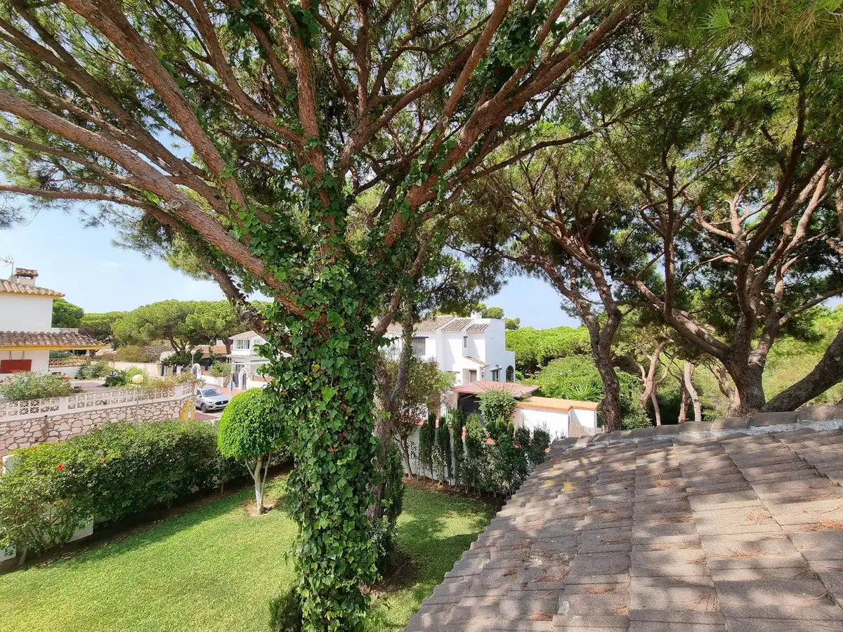 Jardí de Casa o xalet en venda en Mijas amb Aire condicionat, Calefacció i Jardí privat