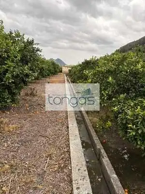 Rustikales Grundstück zum Verkauf in Xàtiva, imagen 13