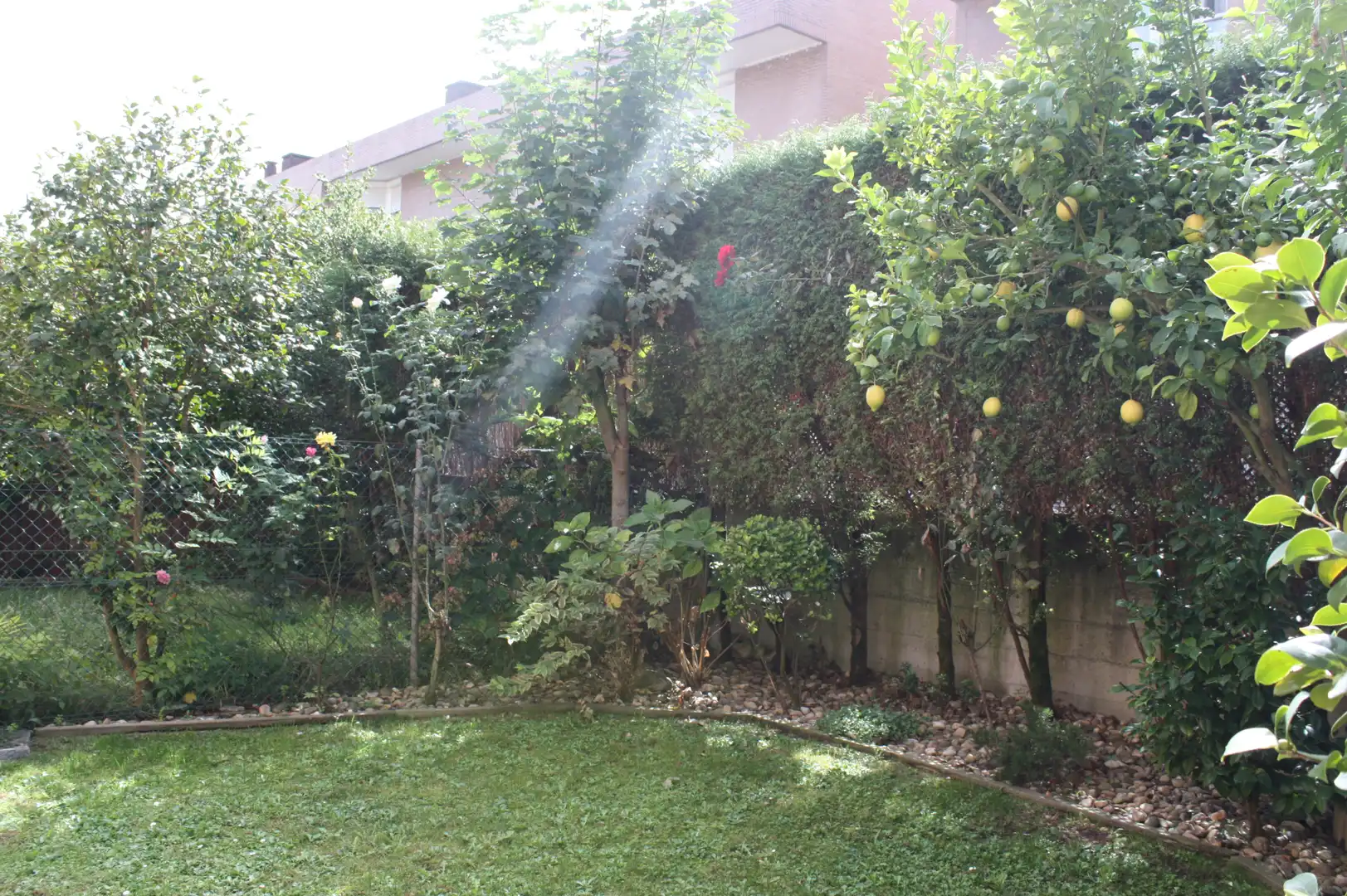 Garten von Einfamilien-Reihenhaus zum Verkauf in Oviedo  mit Heizung, Privatgarten und Parkett
