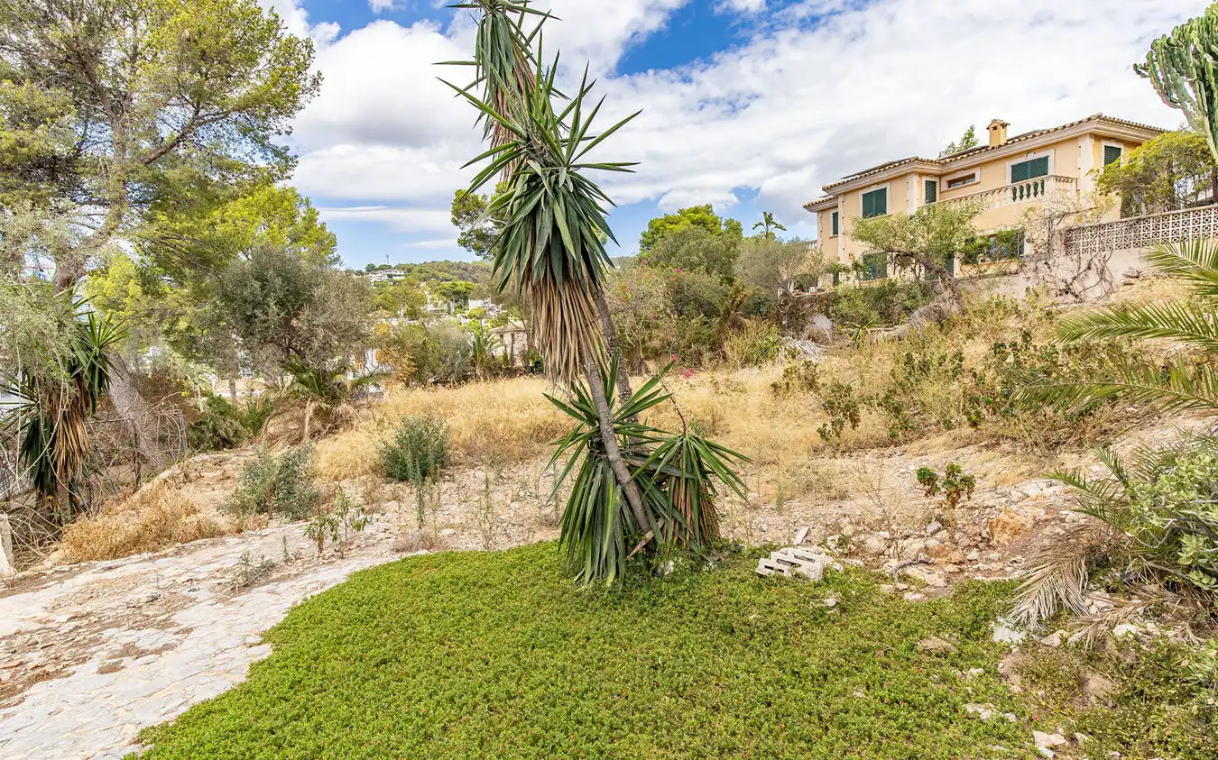 Lands and plots for sale in Portals Nous, imagen 8