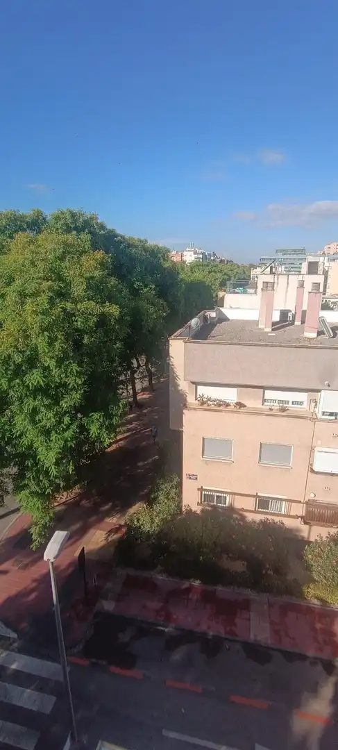 Àtic amb ascensor de lloguer a Calle ABENARABI 39, imagen 50