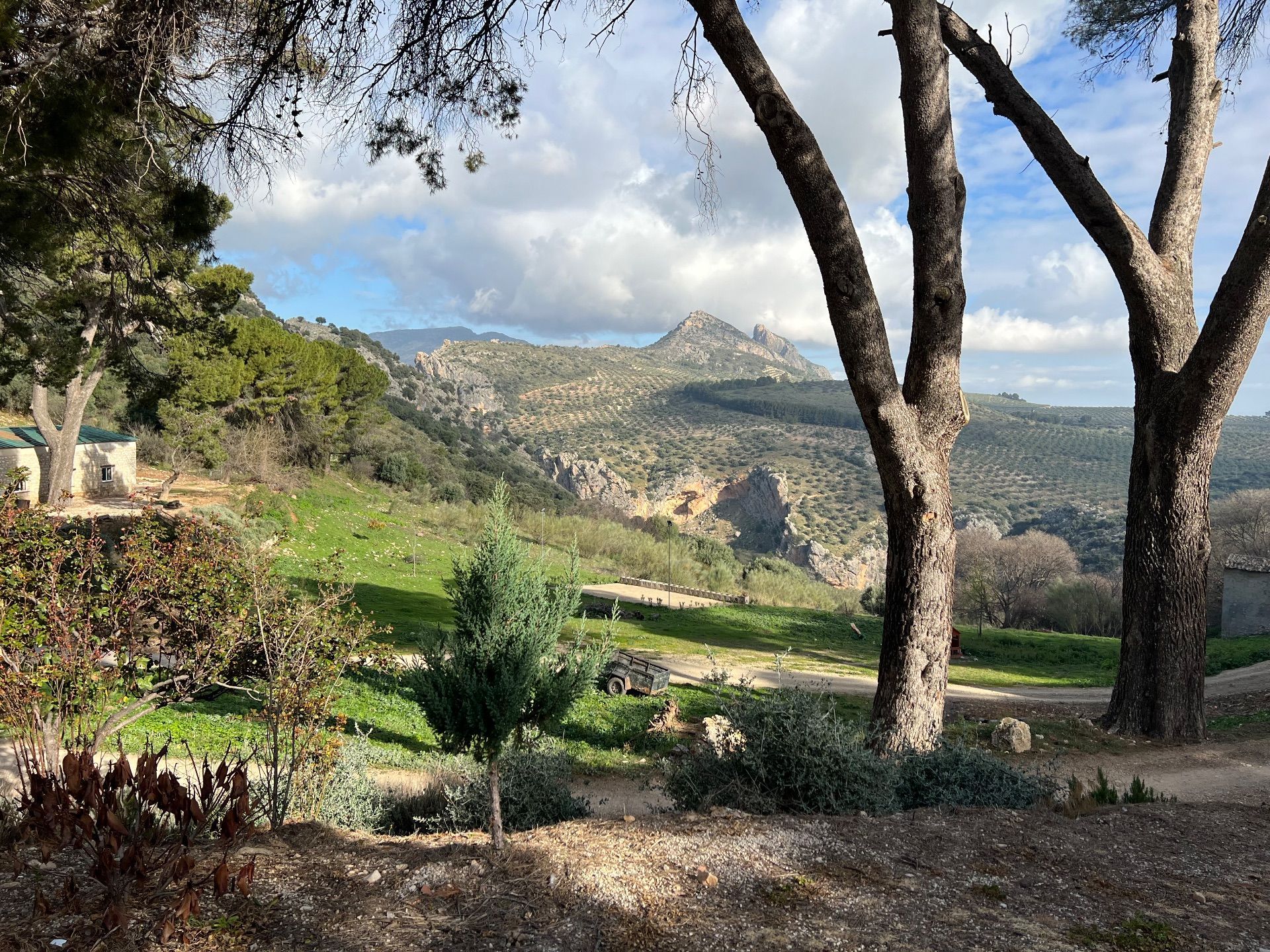 Außenansicht von Grundstücke zum verkauf in  Jaén Capital