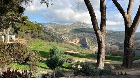 Photo 3 of Land for sale in Jabalcuz, Jaén