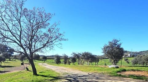 Foto 3 de Casa o xalet en venda a Villaviciosa de Córdoba, Córdoba
