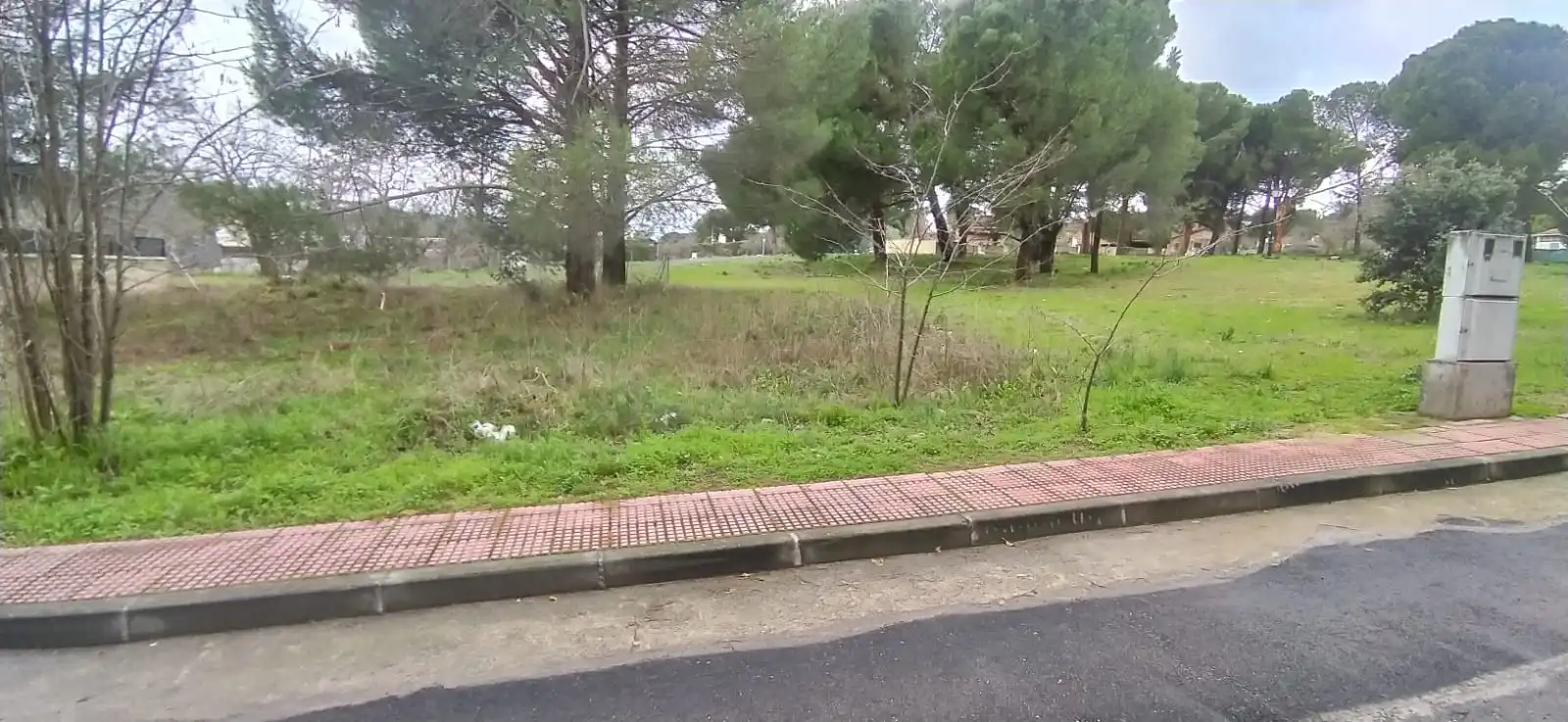Casa amb terrassa en venda a Calle de Restituto Moreno, imagen 24