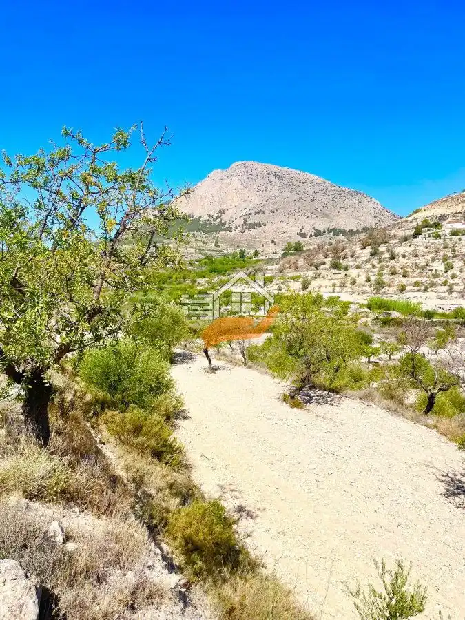 Lands and plots for sale in Vélez-Blanco, imagen 3