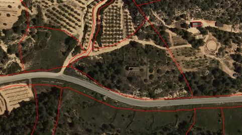 Finca rústica Pda. Devesa i Pda. Segrelles, imatge 4