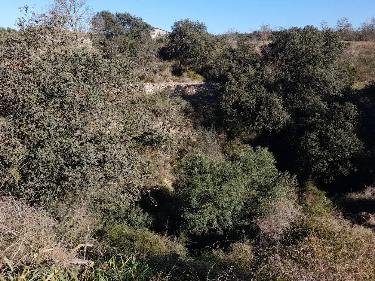Rural land for sale in Ginestar, imagen 6