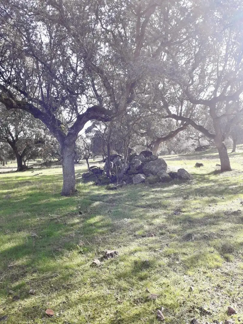 Rural land for sale in Fuente Obejuna, imagen 22