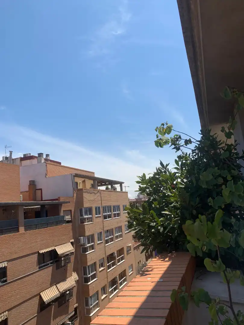Ático de alquiler en Carrer de Rafael Reyes i Torrent (Pintor), L'Amistat