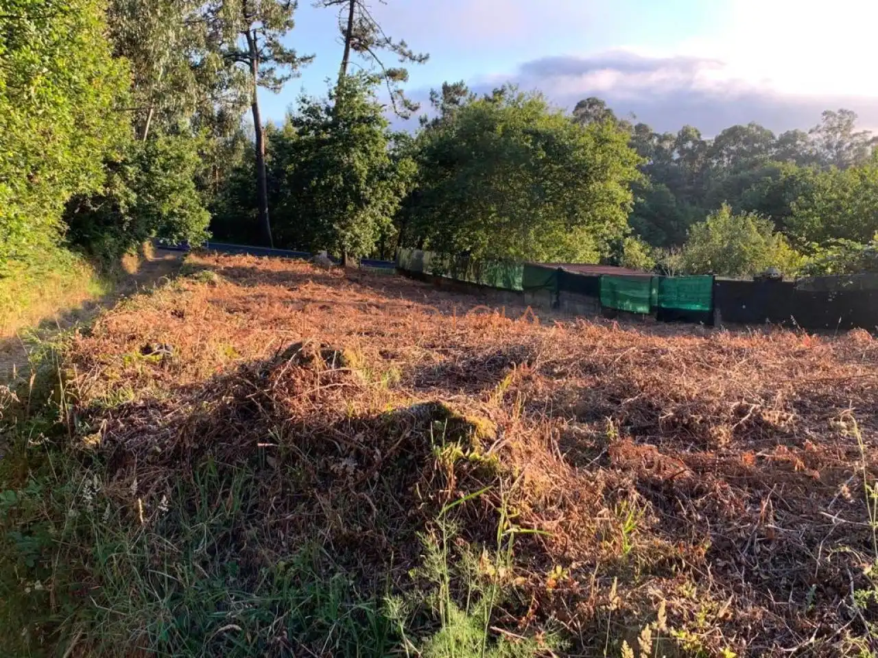 Terreno rustico in vendita a Lugar Montemogos, imagen 4