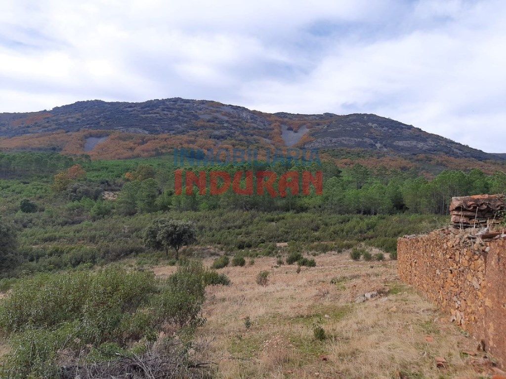 Country house for sale in Puerto de San Vicente