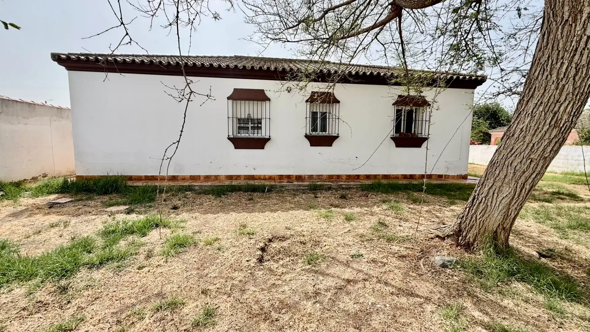 Xalet amb jardí en venda a Calle Navarrete, imagen 10