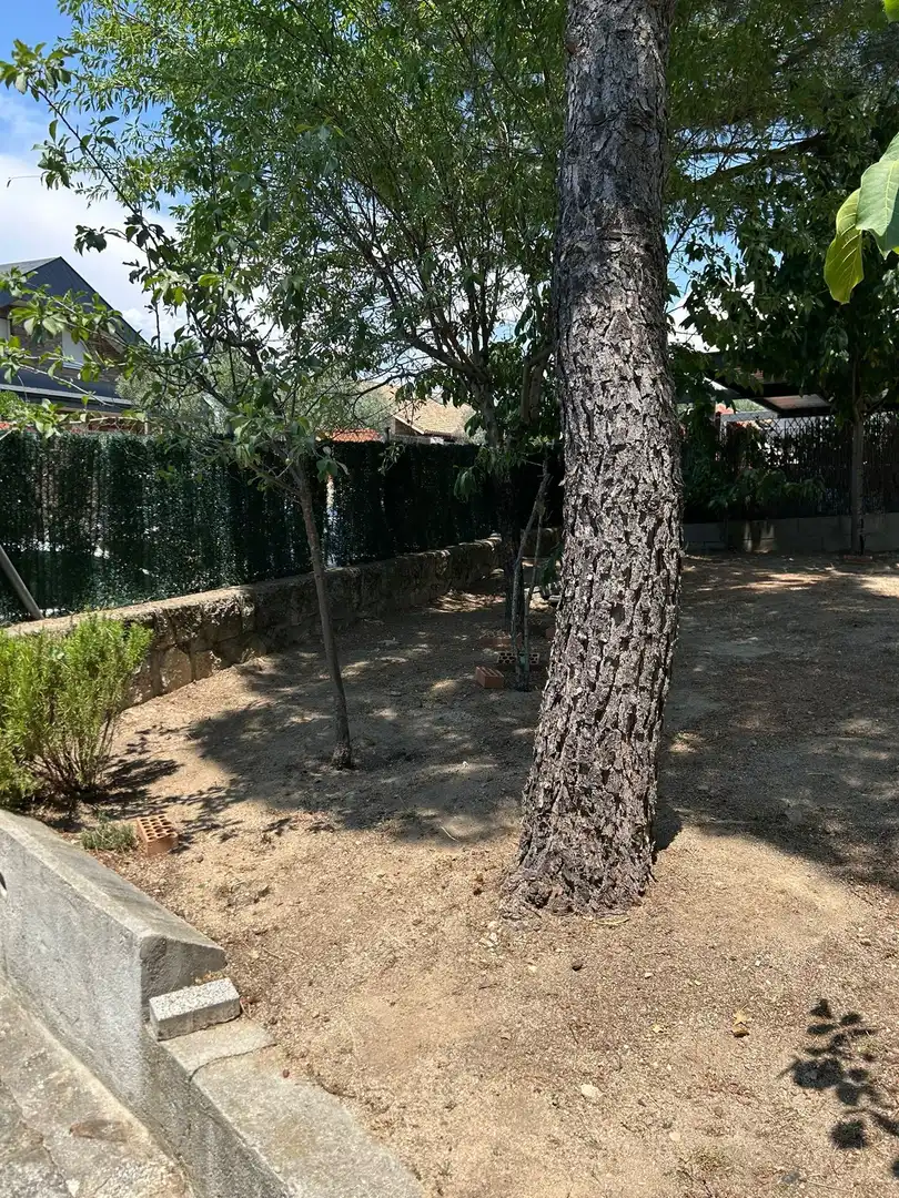Casa con giardino in vendita a Colmenarejo, imagen 22
