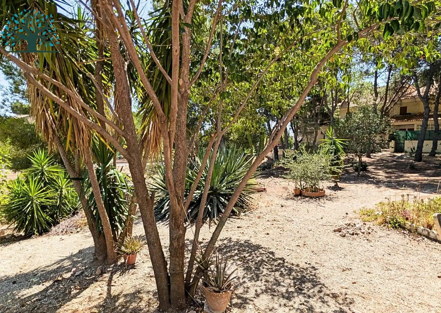 Garten von Maisonette zum Verkauf in Totana mit Klimaanlage, Privatgarten und Terrasse