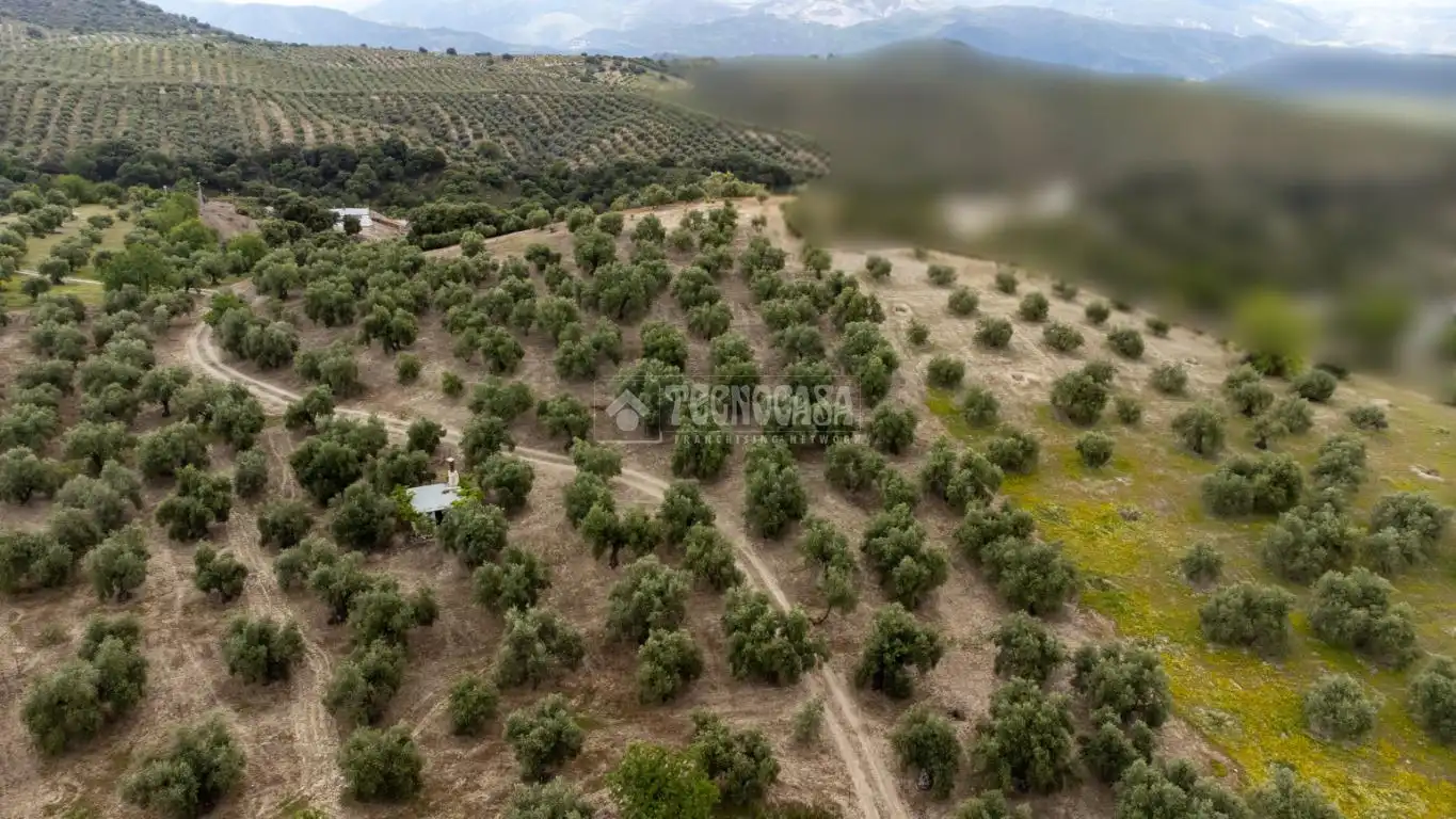 Terreni e lotti in vendita a Albaicín, imagen 30