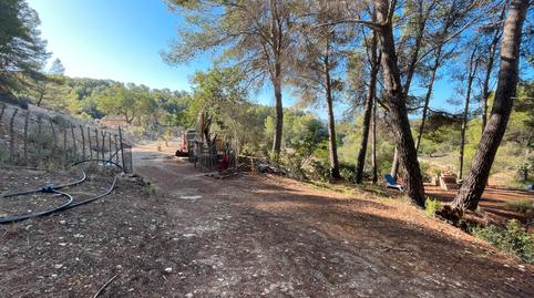 Foto 5 de Finca rústica en venda a Calvià pueblo, Calvià