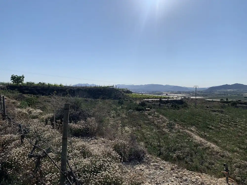 Terreno residencial en venta en Monforte del Cid, imagen 17