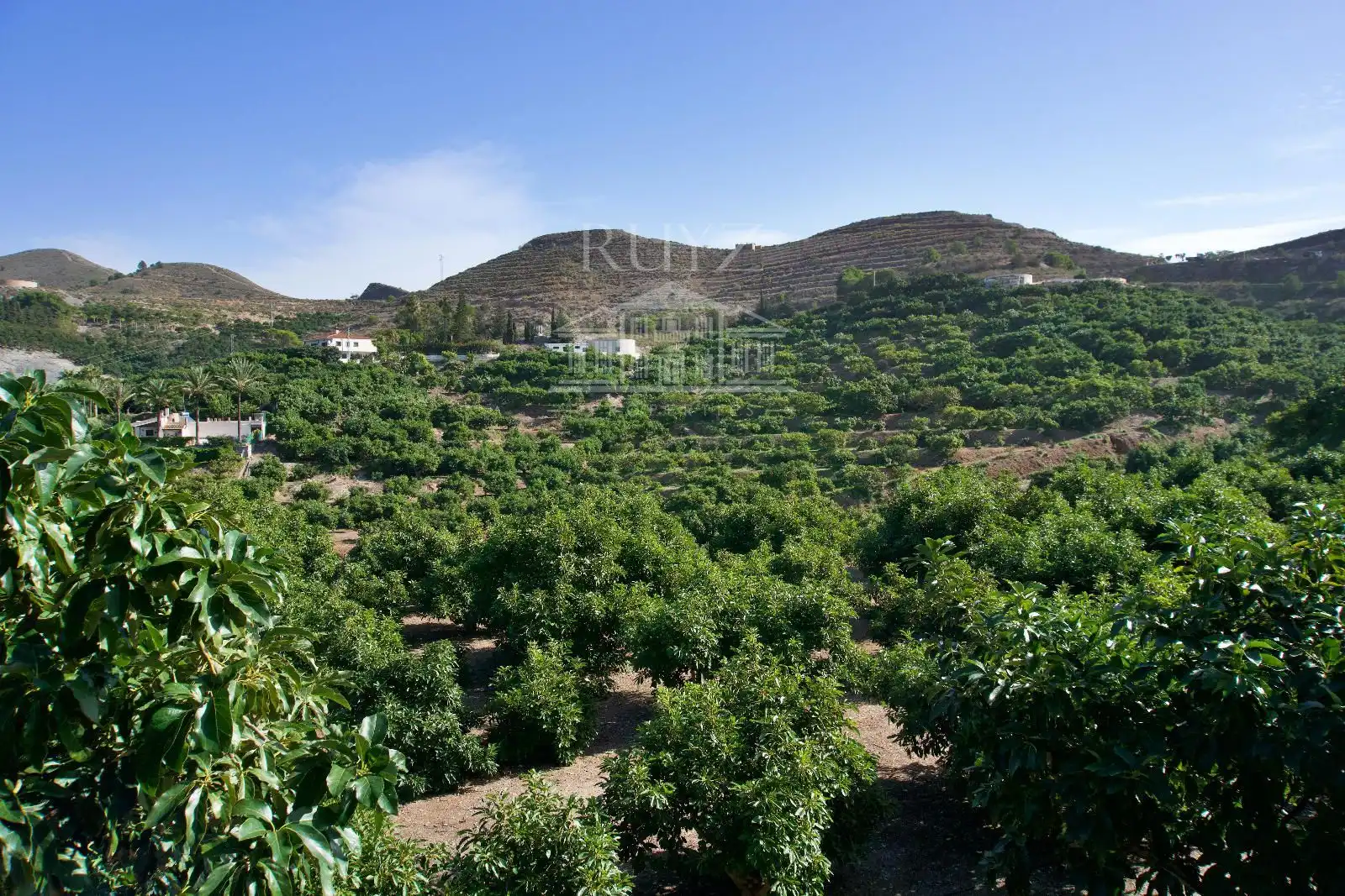 Terreni e lotti in vendita a Barranco del Inglés, imagen 51