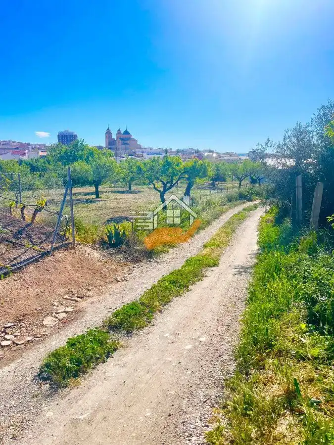 Terreny residencial en venda a Vélez-Rubio, imagen 8
