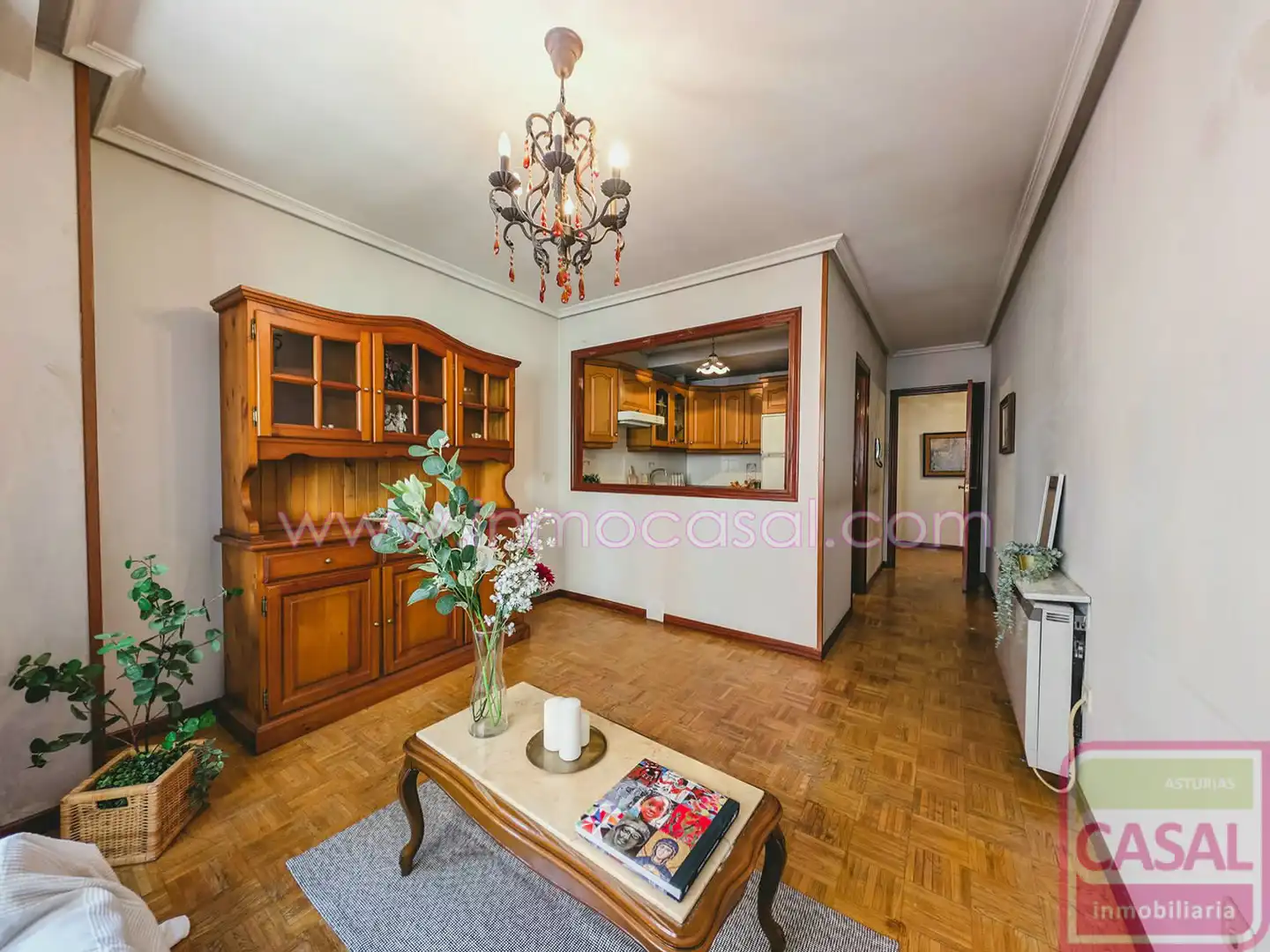 Living room of Flat for sale in Mieres (Asturias)  with Heating, Terrace and Furnished
