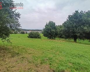 Land for sale in Reocín