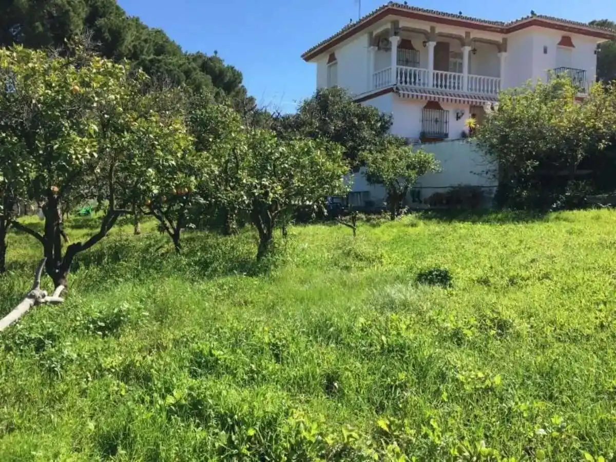 Casa o xalet en venda en Platero - El Limón