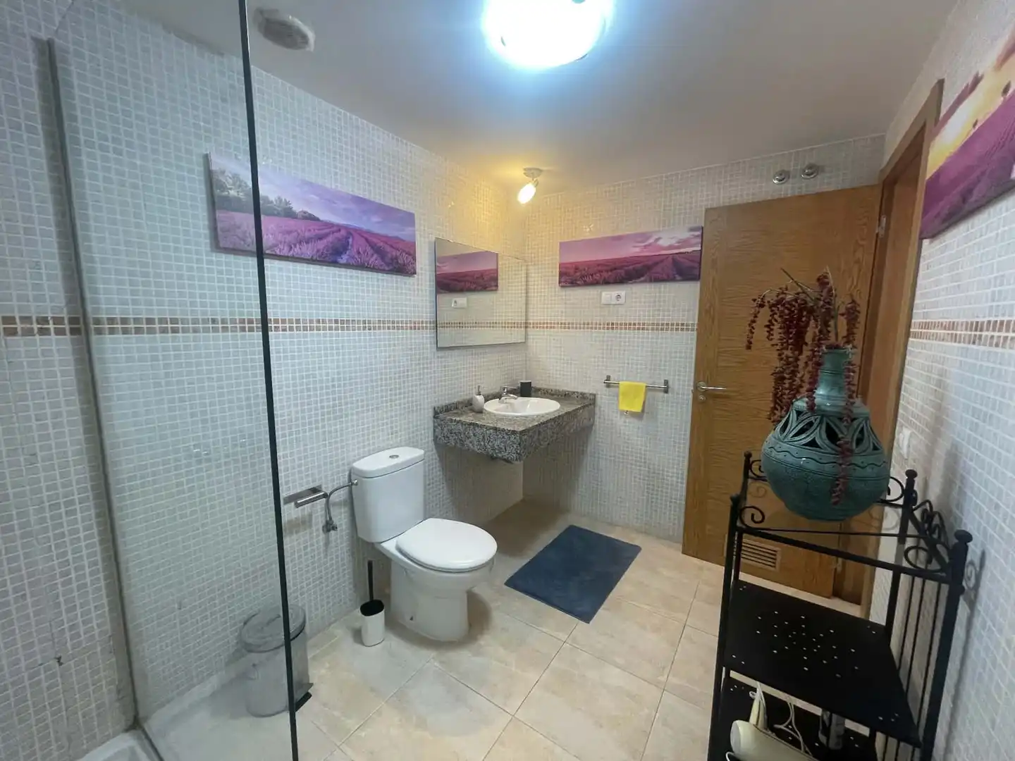 Baño de Dúplex en venta en Antigua con Terraza y Amueblado
