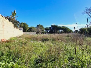 Terreno rustico in vendita a Las Lagunas - Campano