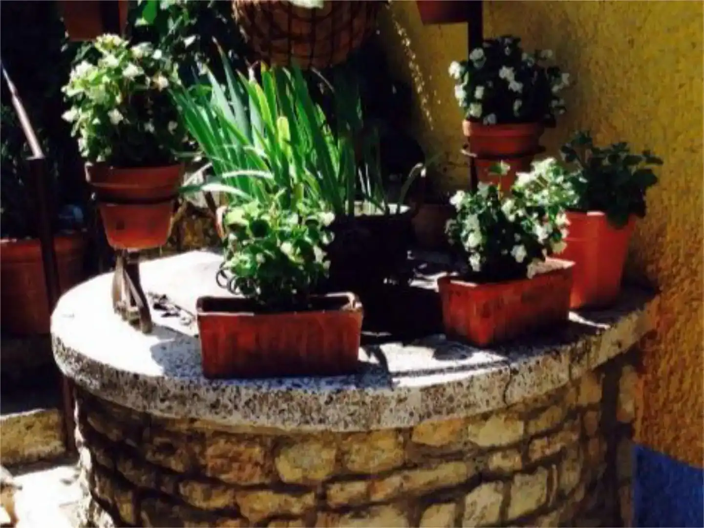 Jardín de Local en venta en Patones