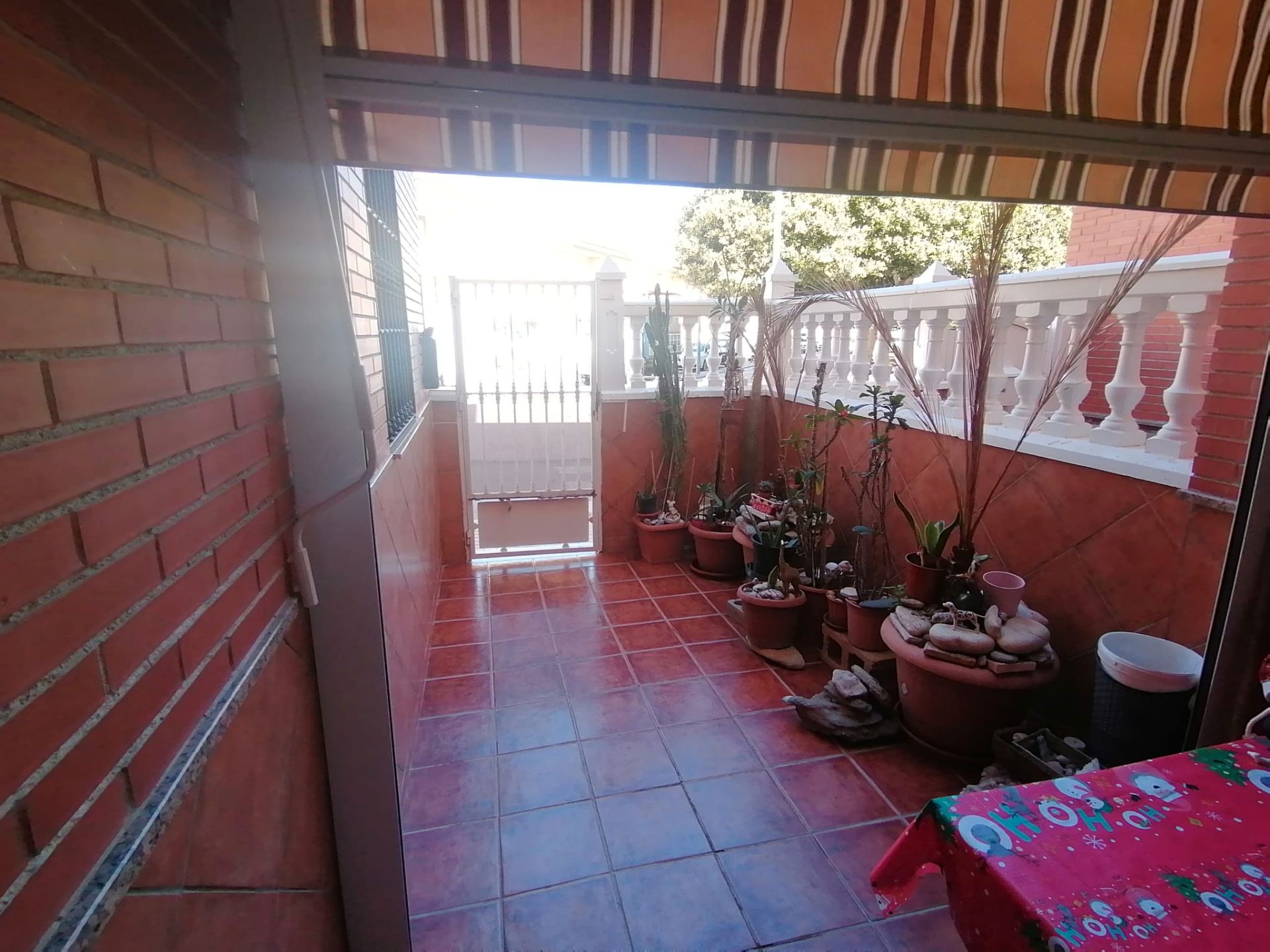 Terrassa de Casa o xalet en venda en El Ejido amb Terrassa i Moblat