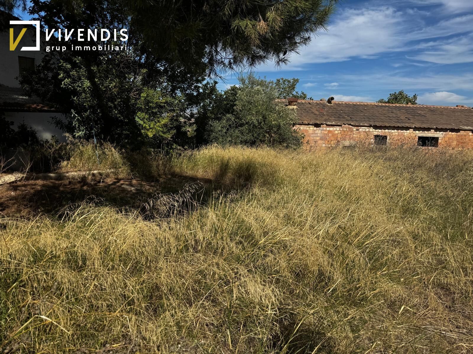 Finca rústica en venta en Carretera Almenar, Almenar