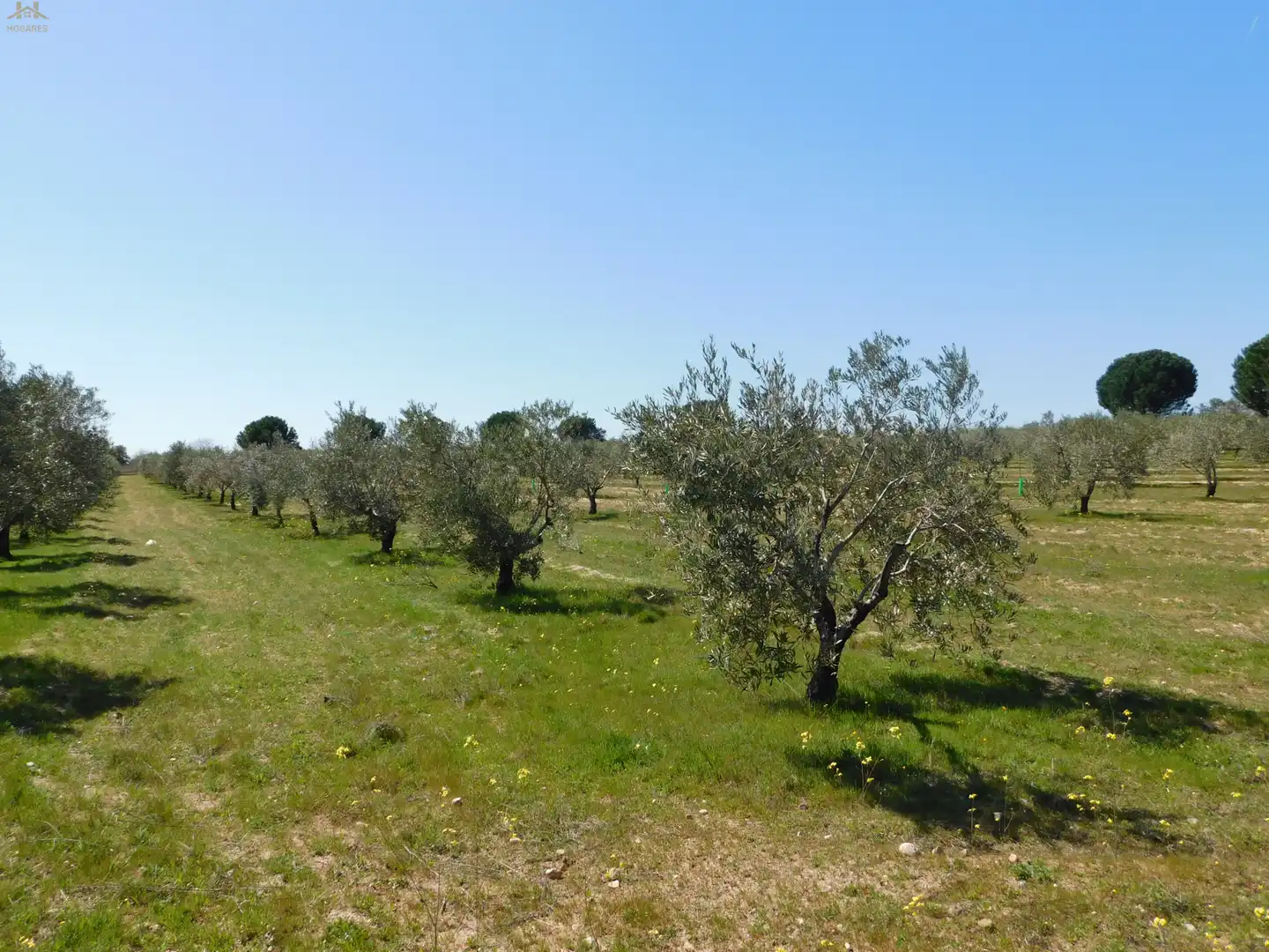 Terreno en venta en Villa del Prado
