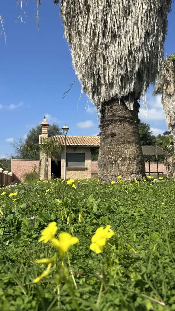 Vista exterior de Casa o chalet en venta en Vélez-Málaga