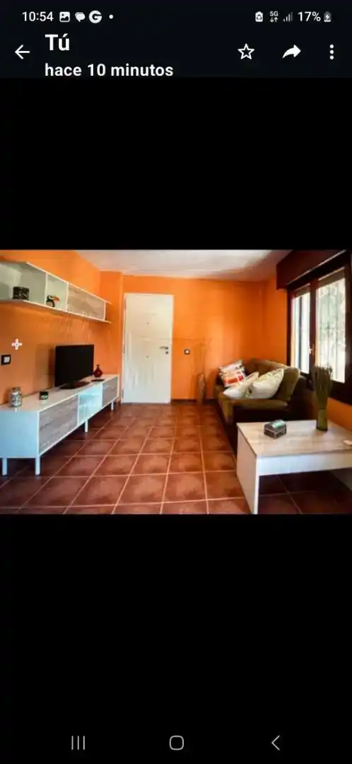 Sala d'estar de Àtic de lloguer en La Colina