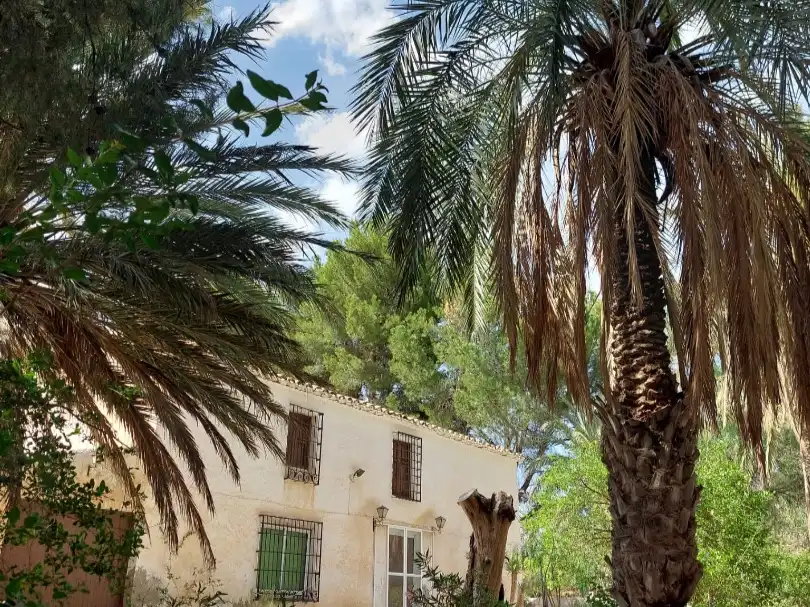 Vista exterior de Finca rústica en venta en Partaloa, Almería