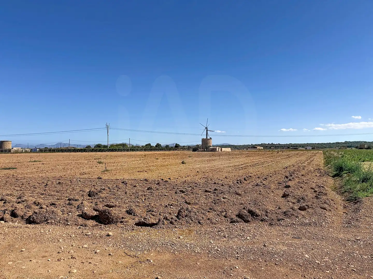 Terrain rustique à vendre à Sa Pobla, imagen 11